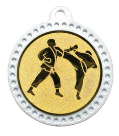 Μετάλλιο-M320 KARATE GOLD 233X266.jpg